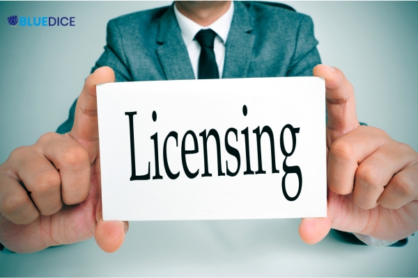 Company Registration in Pune - BlueDice Associates and Company