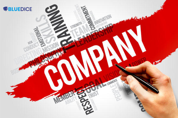 Company Registration in Pune - BlueDice Associates and Company