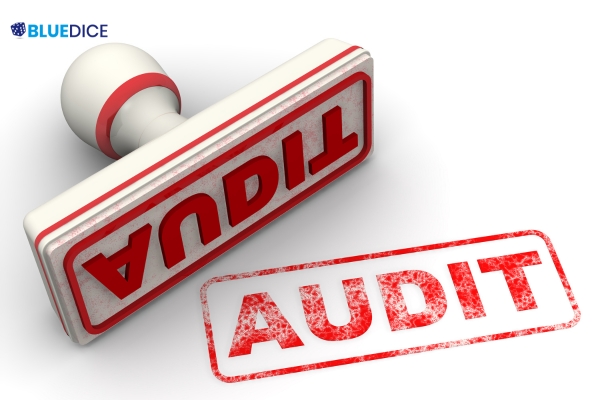 Audit Services in Pune - BlueDice Associates and Company
