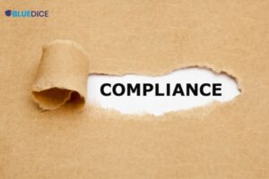 Compliance Services in Pune - BlueDice Associates and Company